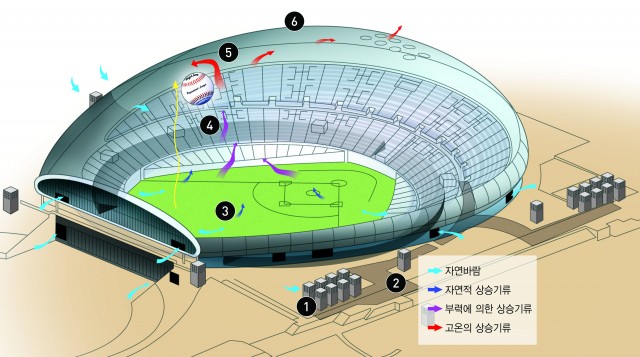 06, 07 시즌 일본에서 뛰던 이승엽은 도쿄돔구장에서 홈런을 각각 22개, 18개쳤다. 돔구장과 이 홈런 수가 상관 관계가 있을까. - (주)동아사이언스 제공